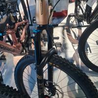 mtb orbea wild h10 2024