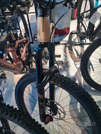 mtb orbea wild h10 2024