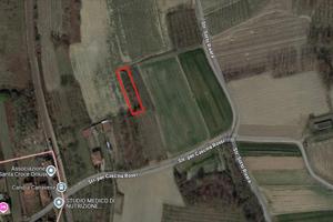 Terreno agricolo Candia Canavese