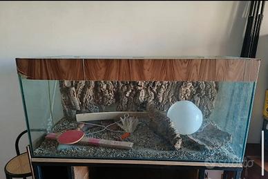 Teca/Acquario 