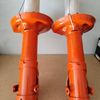 coppia ammortizzatori Golf