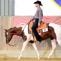 Cavallo