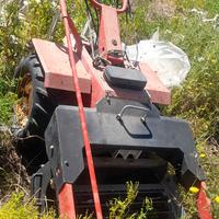 pulisci in spiaggia a prezzo da concordare