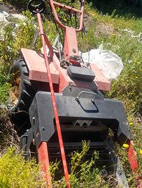 pulisci in spiaggia a prezzo da concordare