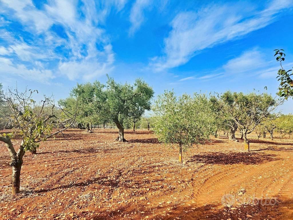 Rustico / Casale di 27 m² con 1 locale a Putignano - Vista 4