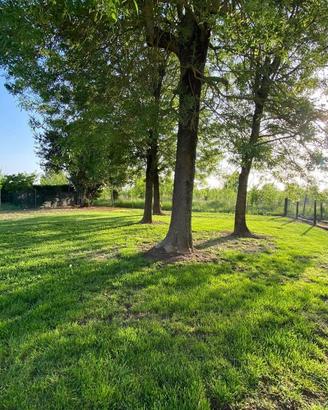 Villa di 208 m² con più di 5 locali e box auto dop