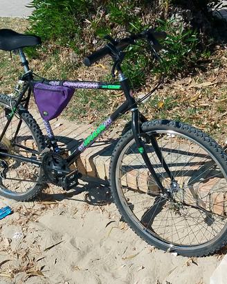 mountain bike funzionante 
