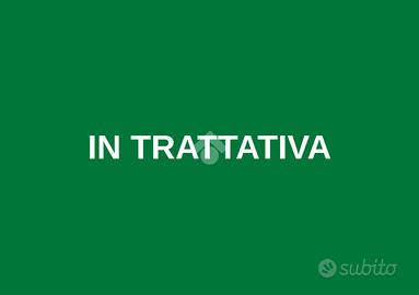 3 LOCALI A BAGNOLO MELLA