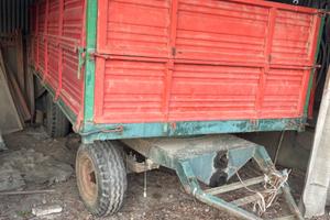 Rimorchio Amos mutti