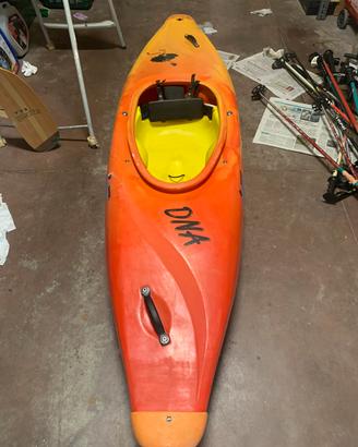 Canoa-Kayak DNA