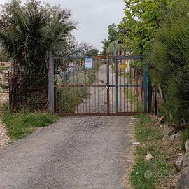 Monreale Strada Vicinale Barone Terreno mq.3100