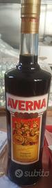 AMARO AVERNA