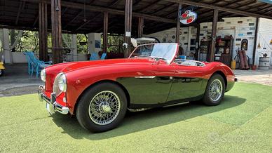 Austin-Healey 100 BN1 – 1954