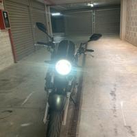 Bandit 600 Suzuki leggi annuncio