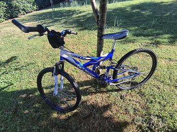 bicicletta per ragazzi o ragazze