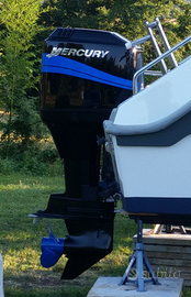 Mercury elpto 115