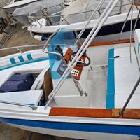 Gobbi 500 mercury 40 cv