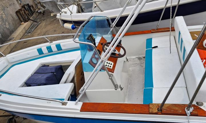 Gobbi 500 mercury 40 cv