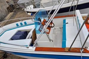 Gobbi 500 mercury 40 cv