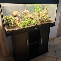 acquario juwel rio 180