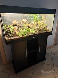 acquario juwel rio 180