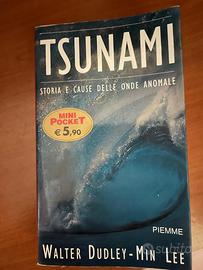 Libro: Tsunami