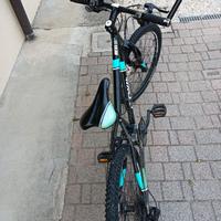 Bicicletta ragazzo 