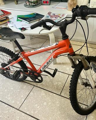 Bici-Mountain bike per ragazzi