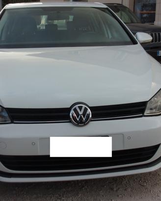 Volkswagen Golf 1.6 TDI 90 CV 5p. Business Trendli