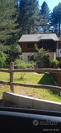 Villetta bifamiliare con giardino