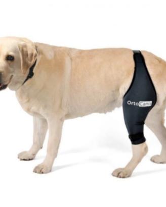 TUTORE GINOCCHIO SINISTRO ORTOCANIS