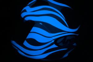 Casco Arai Quantum Zebra Edizione Limitata