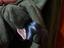 Immagine 5