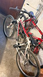 Mtb ferrigno
