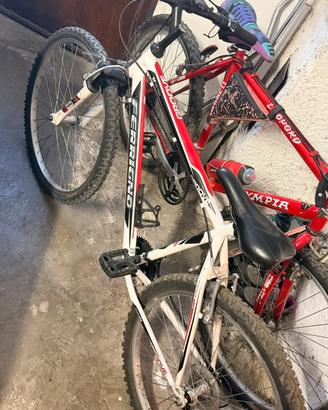 Mtb ferrigno