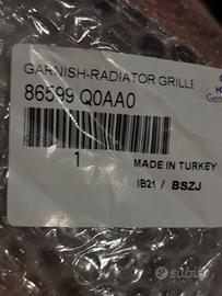 Griglia radiatore superiore e tappo paraurti