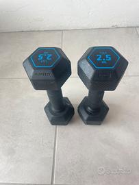 Pesi decathlon 2,5 kg