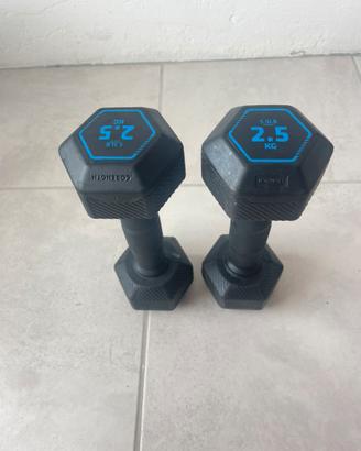 Pesi decathlon 2,5 kg