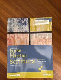 libro “forse un mattino Scrittura”