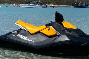 Seadoo Spark