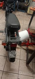 piaggio si con frecce e variatore