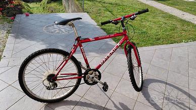 Mountain bike adulto Maverick