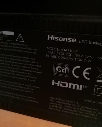 TV Hisense 43 pollici