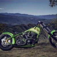 Custom special softail