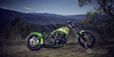 Custom special softail
