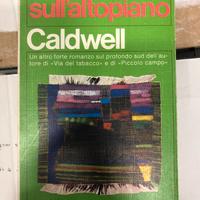 Casa sull'altopiano - Erskine Caldwell