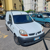 Renault Kangoo usato