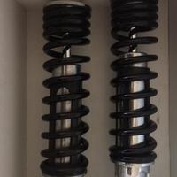 Ammortizzatori originali V rod muscle