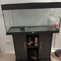 Juwel 180 acquario