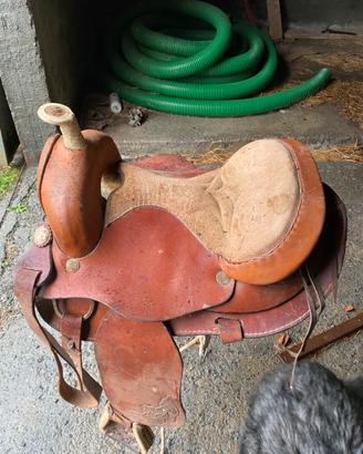 Selle americane